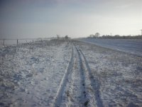 trail riding (Large).jpg