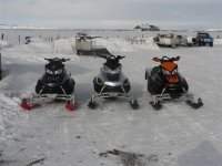 sleds 001.jpg