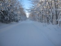 IMG_2799.JPG