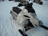 camo-sled (Medium).JPG