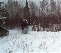 Phazer Wheelie (Medium).jpg