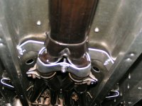 New camera pictures 257.JPG