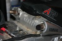 IMG_7886.jpg