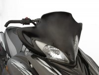 Apex Low Black Windshield.jpg