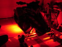 red snowglow on RTX.jpg