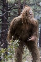 MessinWithSasquatch_2.jpg