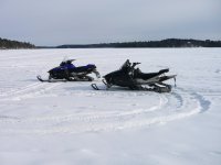 our sleds 2.jpg