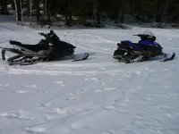 our sleds 1.jpg