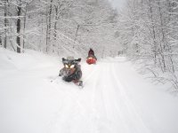 trail.jpg