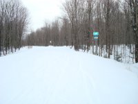 DSC00311.JPG