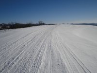 trail small 3.jpg