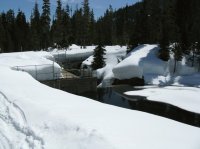 IMG_1043.jpg