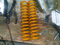 IMG-20111018-00284.jpg