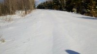 virgin backcountry logging road.jpg