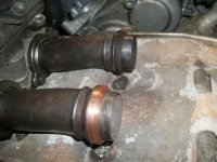 100_2767 (Large).JPG