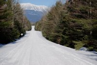 Grant brook trail.jpg