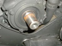 HPIM1983 (Medium).JPG