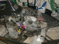 HPIM0325 (Medium).JPG