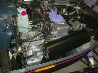 HPIM1000 (Medium).JPG