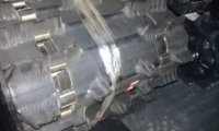 1.25 Predator.jpg
