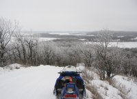 IMG_0231.jpg