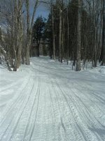 DSCF1217 (Medium).JPG