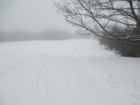 IMG_0504 (Large).JPG