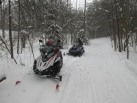 IMG_0558 (Large).JPG