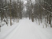 IMG_0554 (Large).JPG