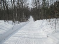 IMG_0634 (Large).JPG