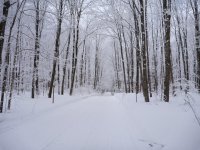 Awesome trails near Rexton.jpg