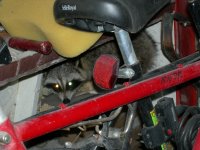 Raccoon in the shed 002.jpg