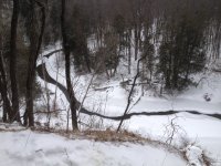 IMG_0973.JPG