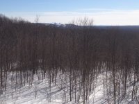 IMG_0985.JPG