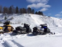 IMG_0727.JPG IMG_0727.JPG