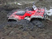 Mud Bog.jpg