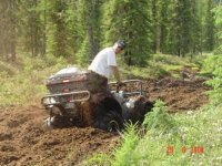 Grizz - 2WD Fun.JPG