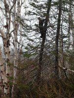 2012-05-05 12.19.33.jpg