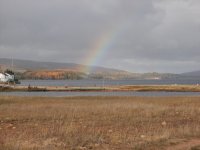 nov4 2012 pic6.jpg
