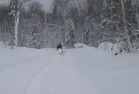 DSC01055sm.jpg