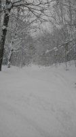 IMG_20170107_114007788.jpg