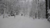 IMG_20170107_114017913.jpg