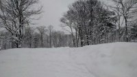IMG_20170109_111308736.jpg
