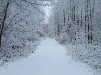 IMG_1216.jpg