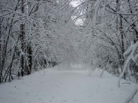IMG_1197.jpg
