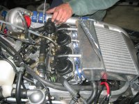 More RX 093.jpg