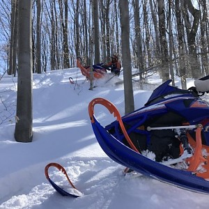 Yamahaguys And Snoninja Playing In The Trees