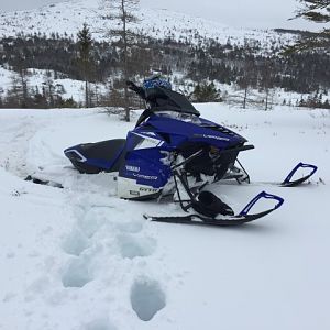 Winter 2015 in Newfoundland