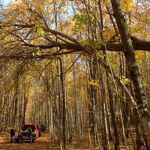 Work performed in the fall keeps trails safe through the year.  This massive tree was hanging over the trail for months until we removed it before the start of the snowmobile season.