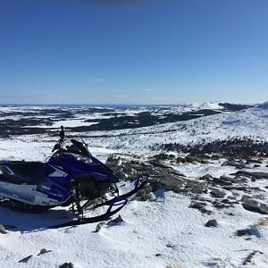 Newfoundland